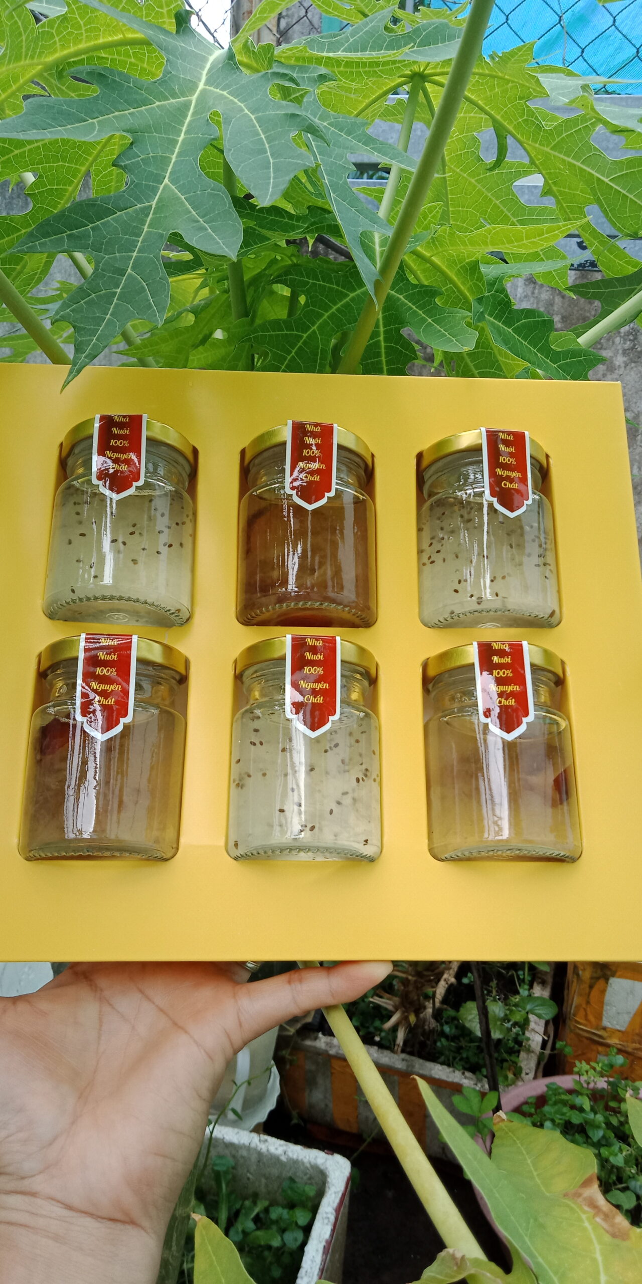 Yến sào chưng tươi Yến sào chưng tươi