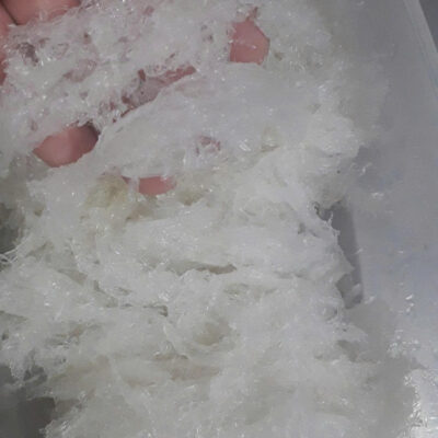 Yến tươi (chỉ làm sạch, chưa sấy)